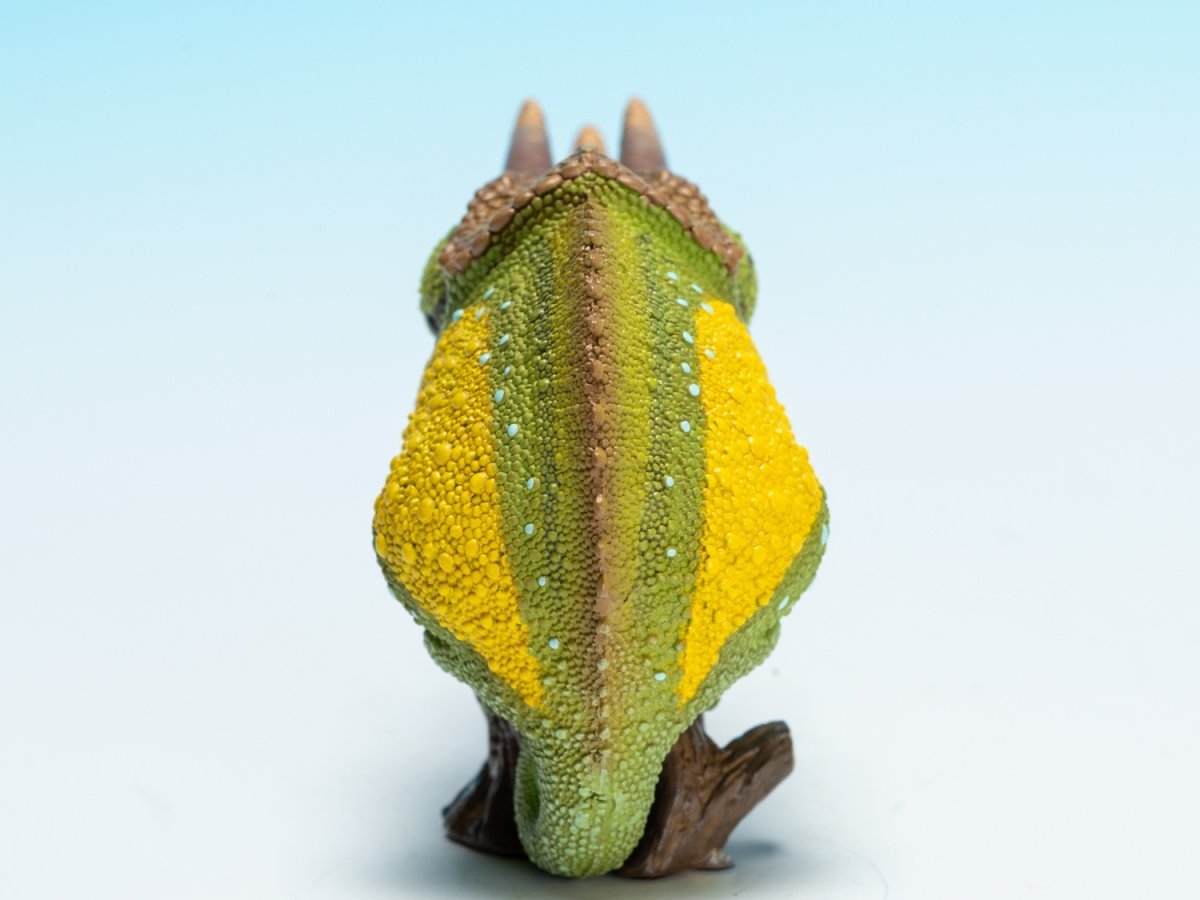 画像5: ジャクソンカメレオン (5)