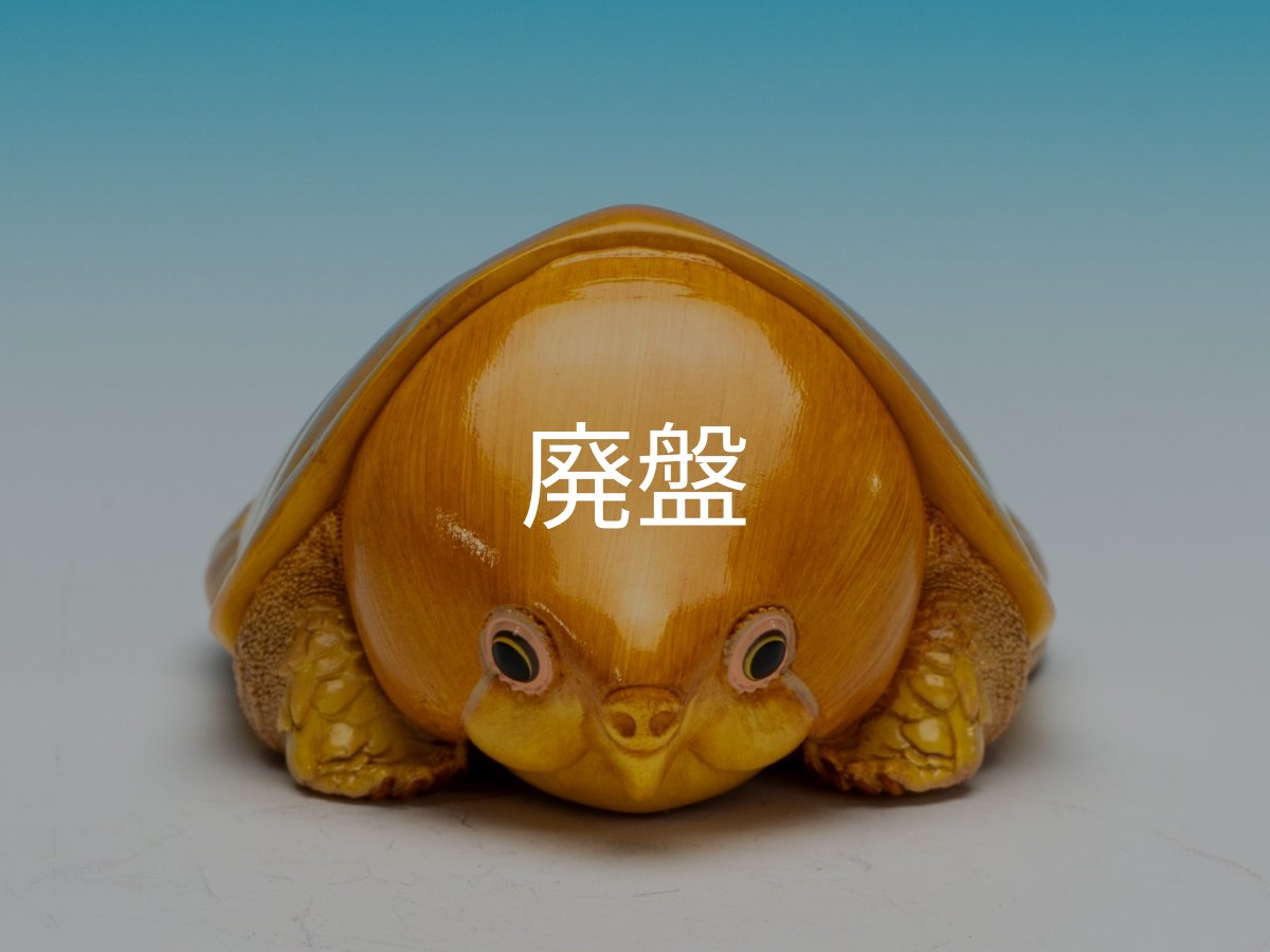 画像3: オオアタマガメ (3)