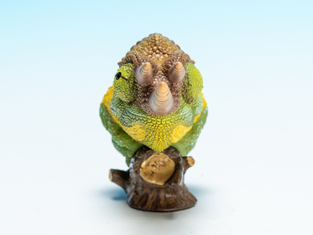 画像10: ジャクソンカメレオン (10)