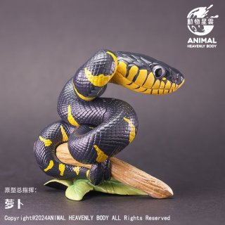 ヘビ - アジアアロワナ専門店ラフレシア