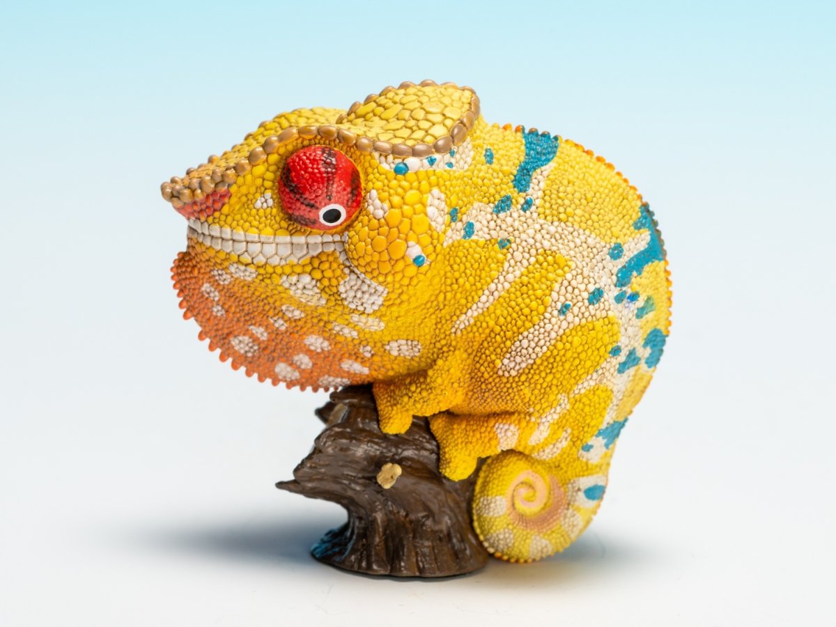 画像5: カメレオン（ミツィウ） (5)