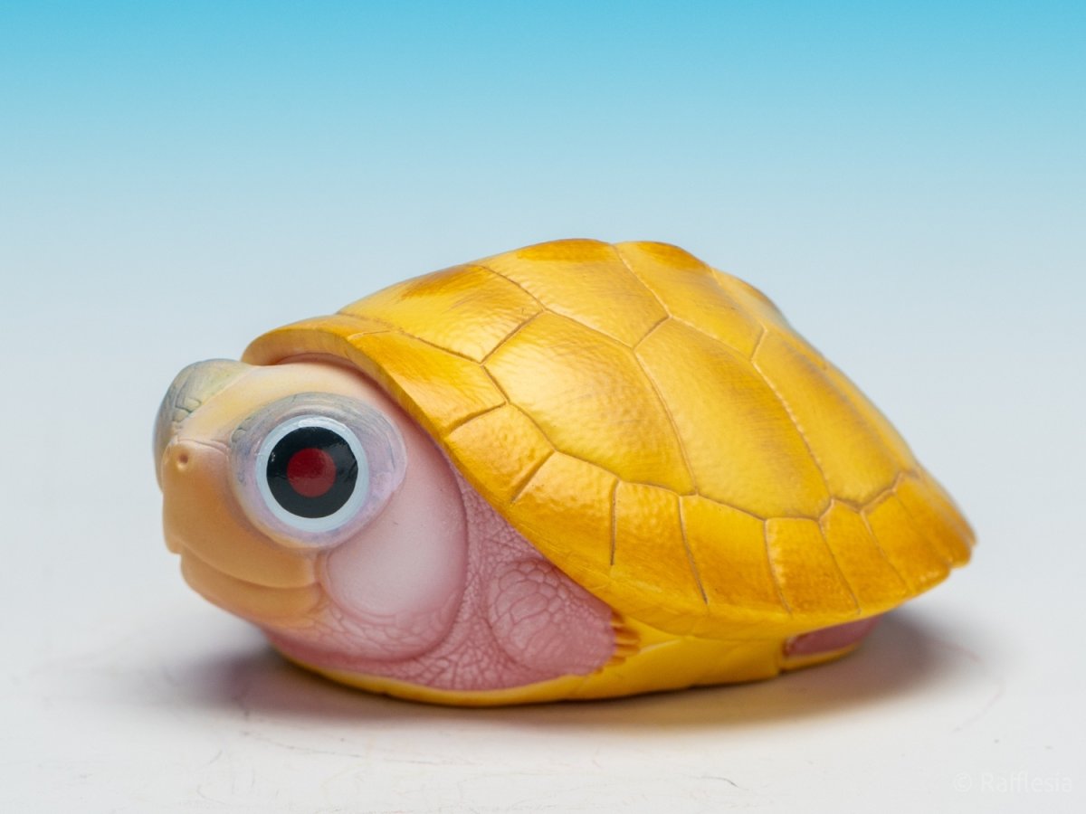 画像4:  キャラメルピンク（五周年記念） (4)