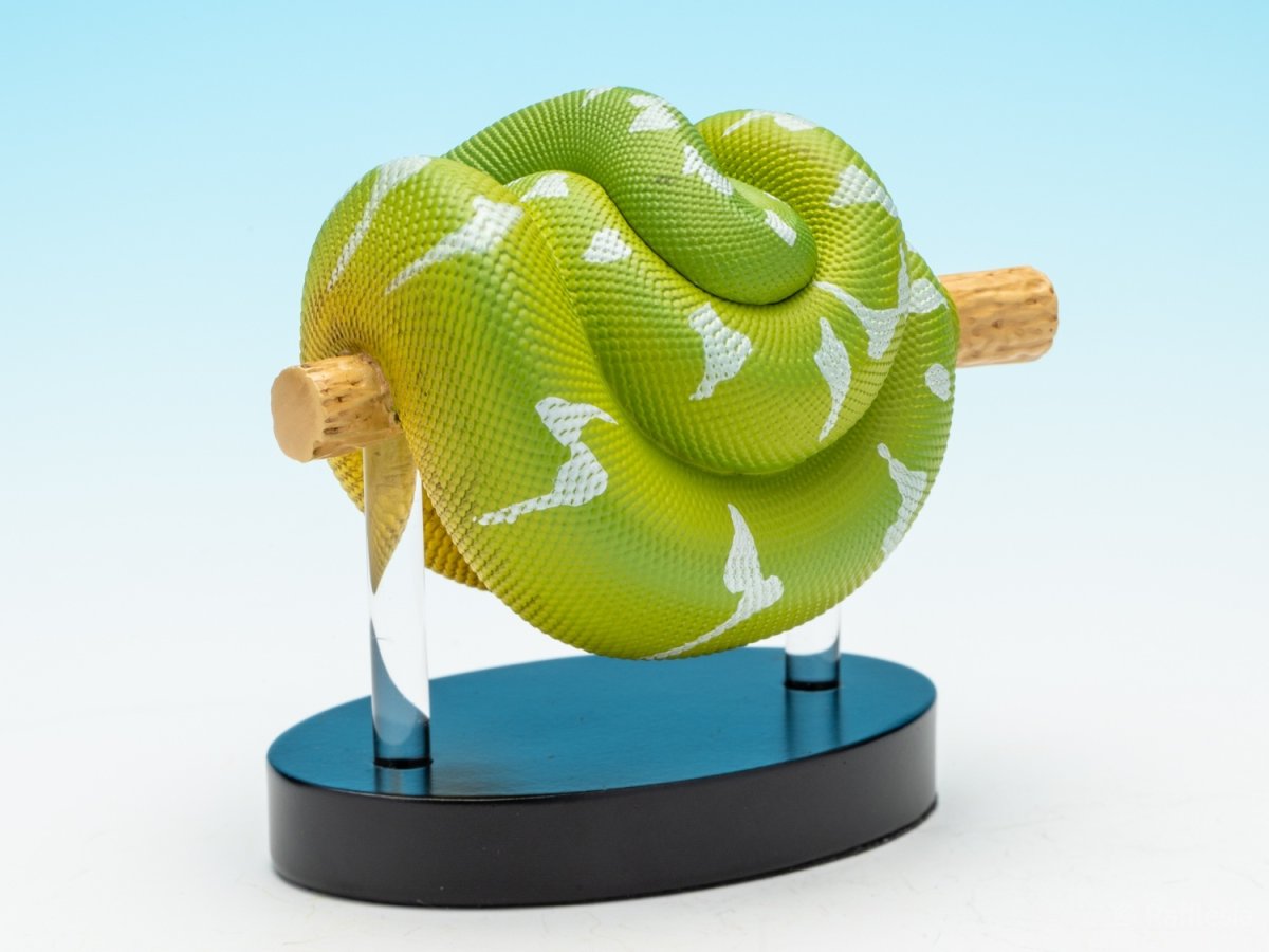 画像5: エメラルドツリーボア (5)