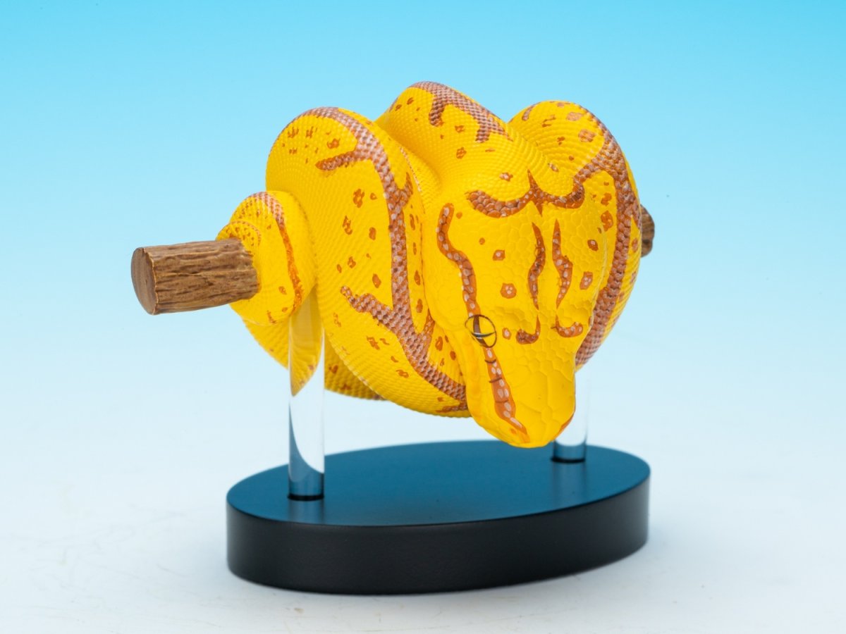 画像1: ミドリニシキヘビ（WF2024限定） (1)