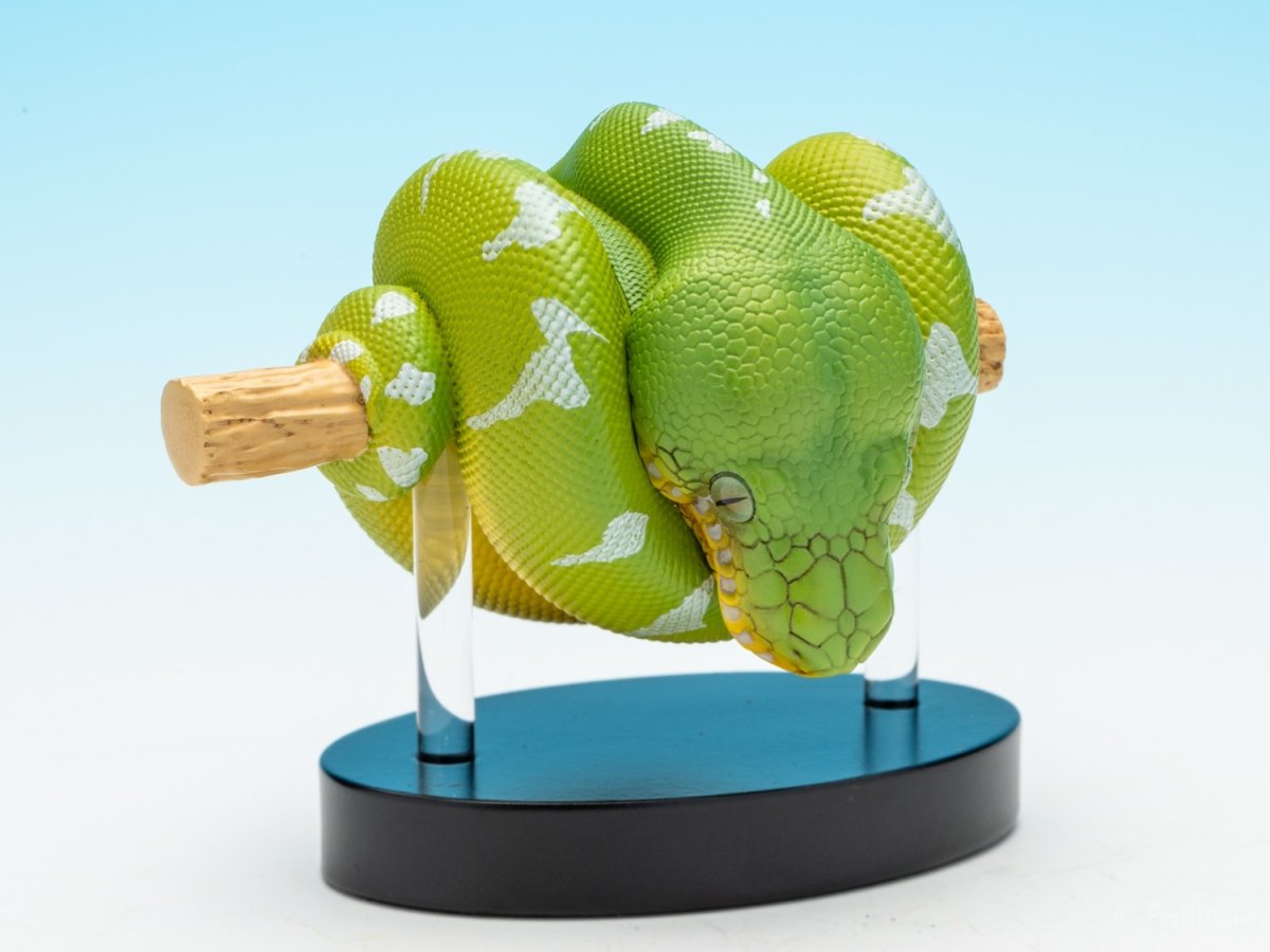 画像9: エメラルドツリーボア (9)