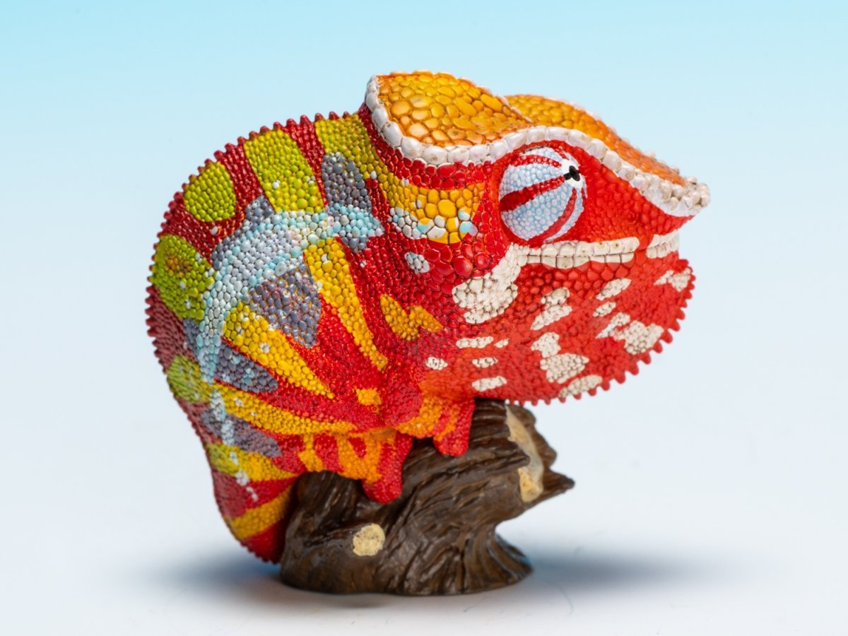 画像2: カメレオン（アンダパ） (2)