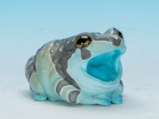 画像1: ジュウジメドクアマガエル (1)