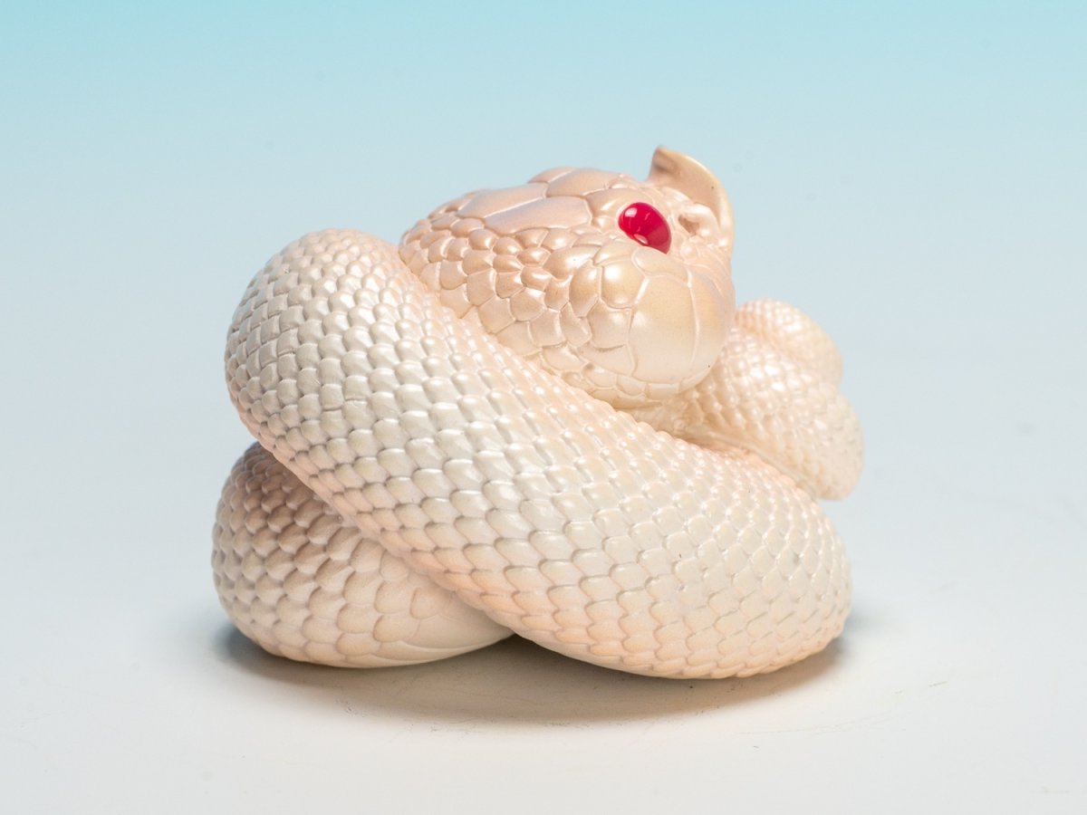 画像4: シシバナヘビ（スーパーホワイトカンダ） (4)