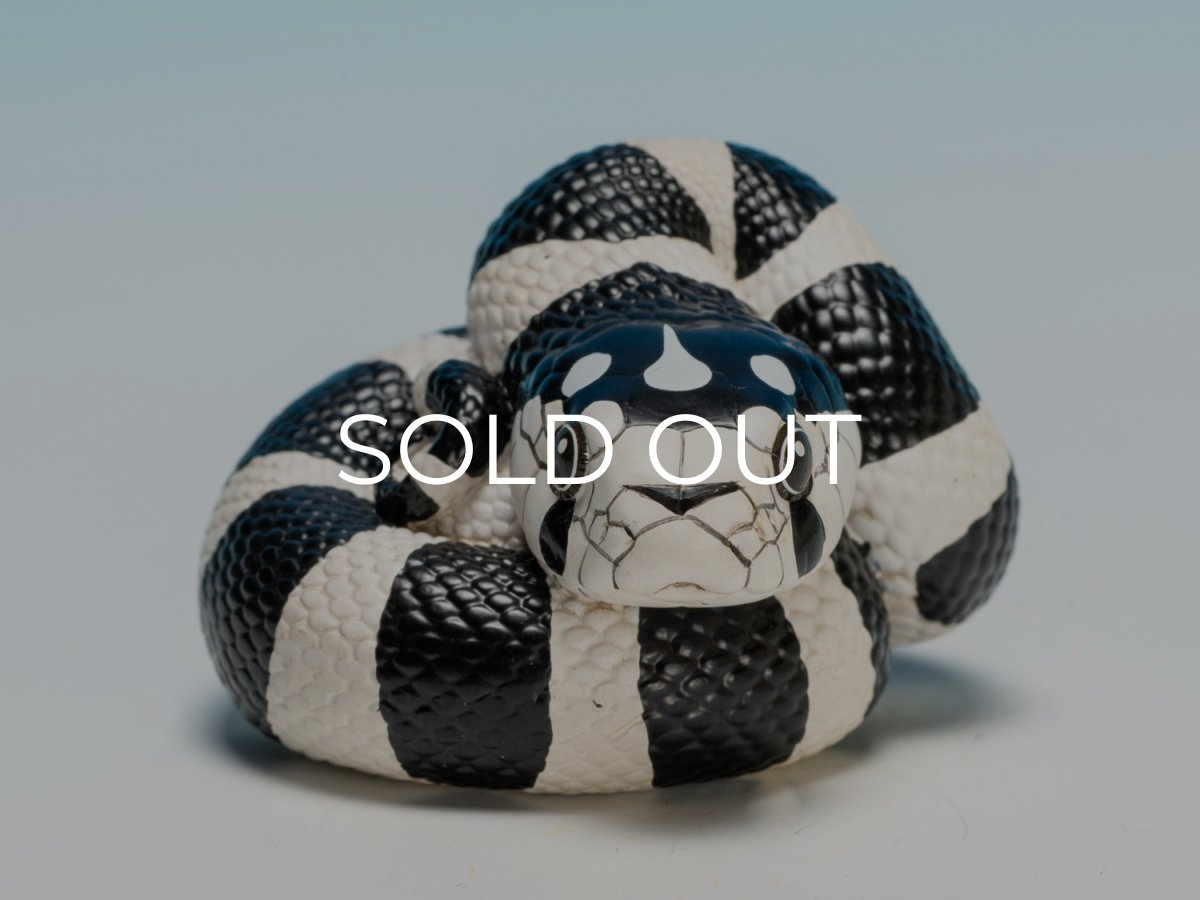 画像7: カリフォルニアキングヘビ（白黒） (7)