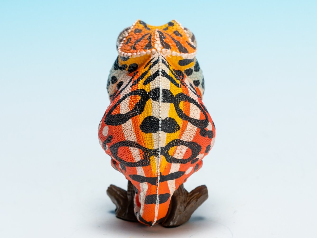 画像4: カーペットカメレオン (4)