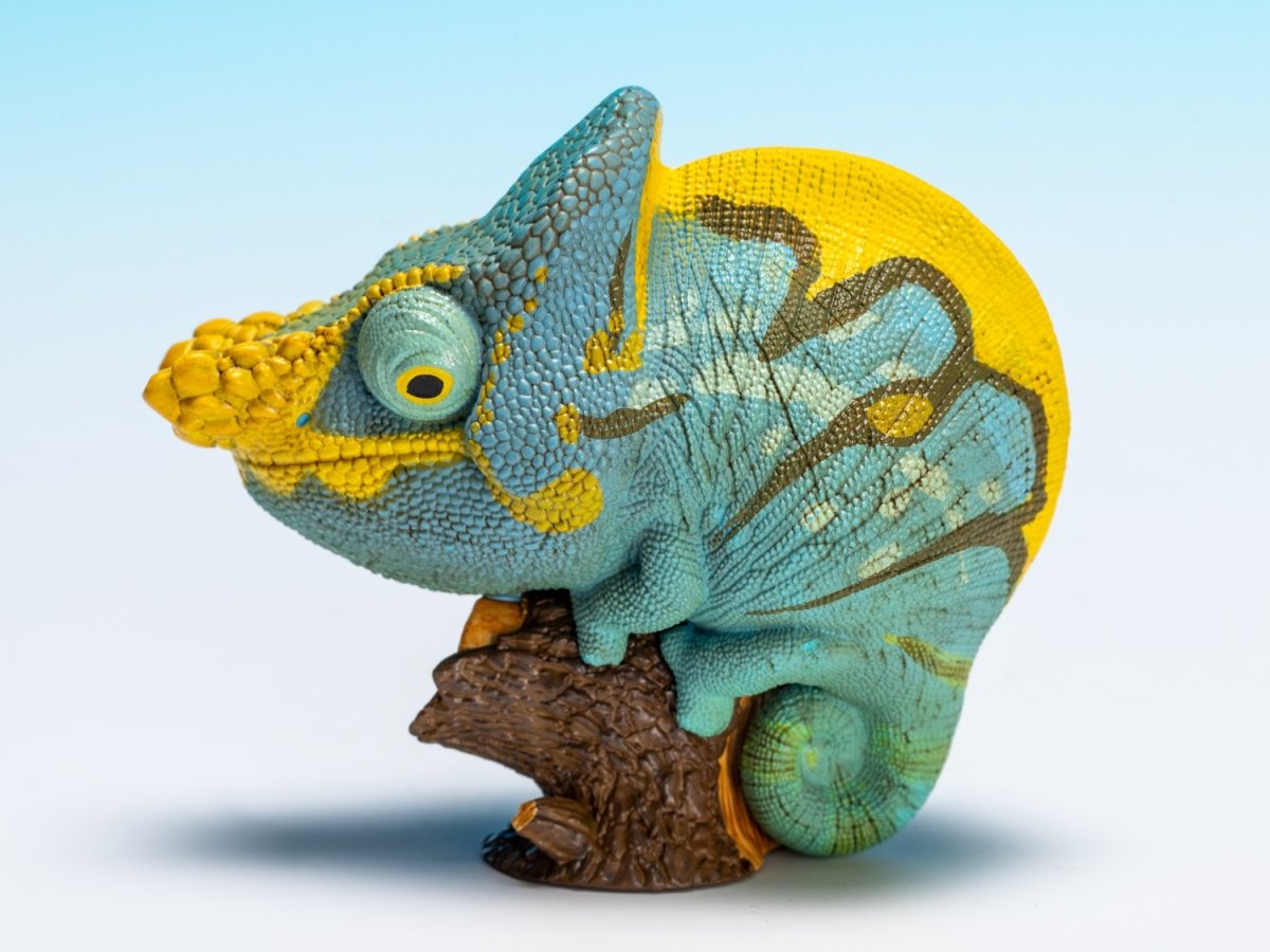 画像7: パーソンカメレオン (7)