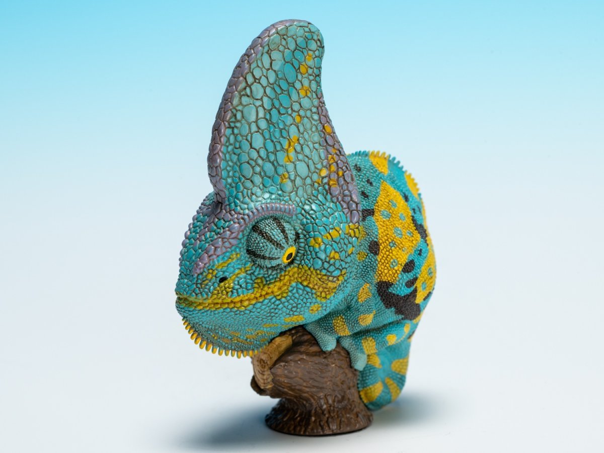 画像8: エボシカメレオン（ブルー）【動画あり】 (8)