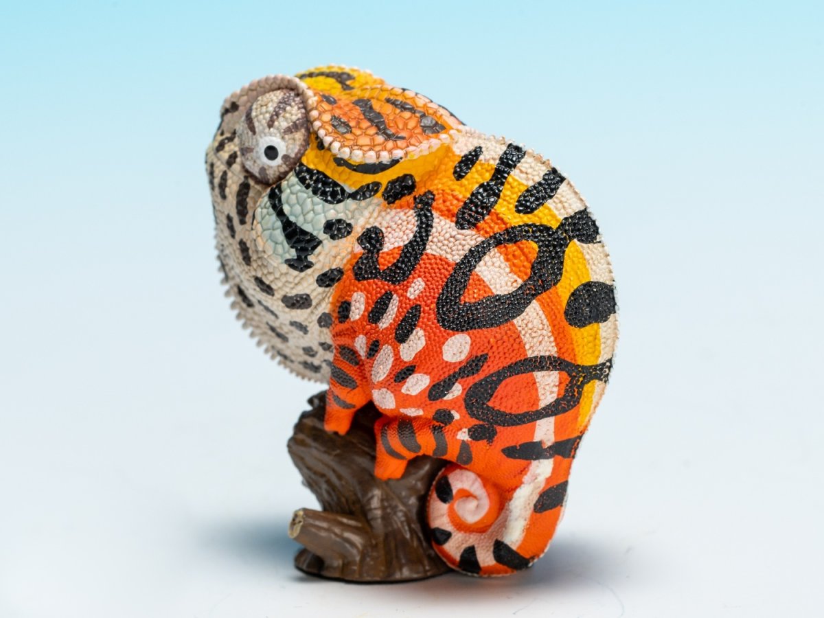 画像5: カーペットカメレオン (5)