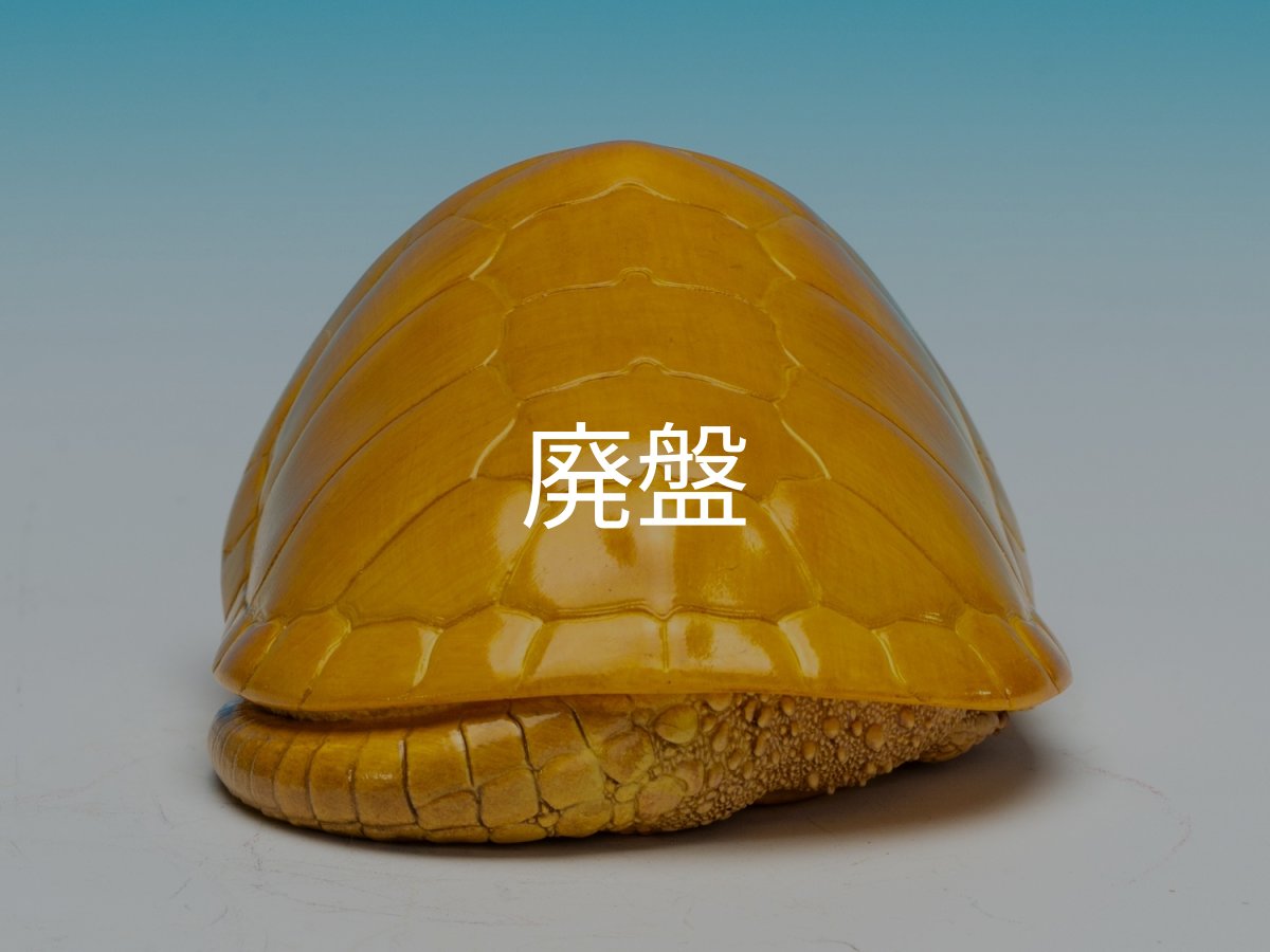 画像8: オオアタマガメ (8)