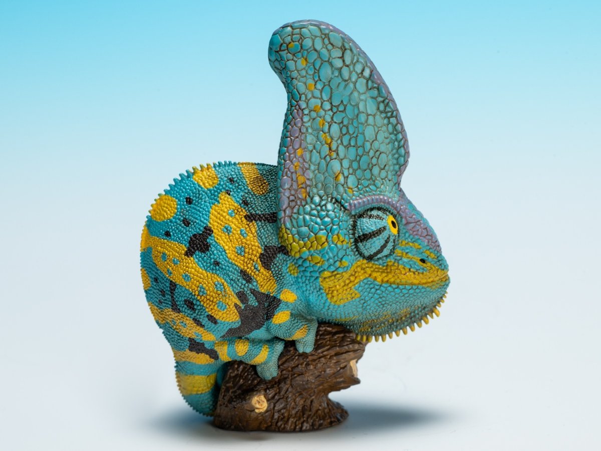 画像3: エボシカメレオン（ブルー）【動画あり】 (3)