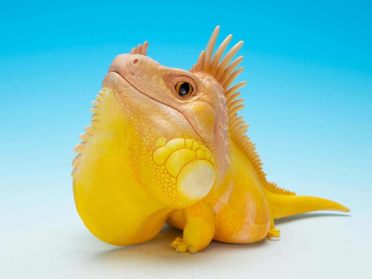 画像3: グリーンイグアナ（WF2024限定）PLUS版 (3)