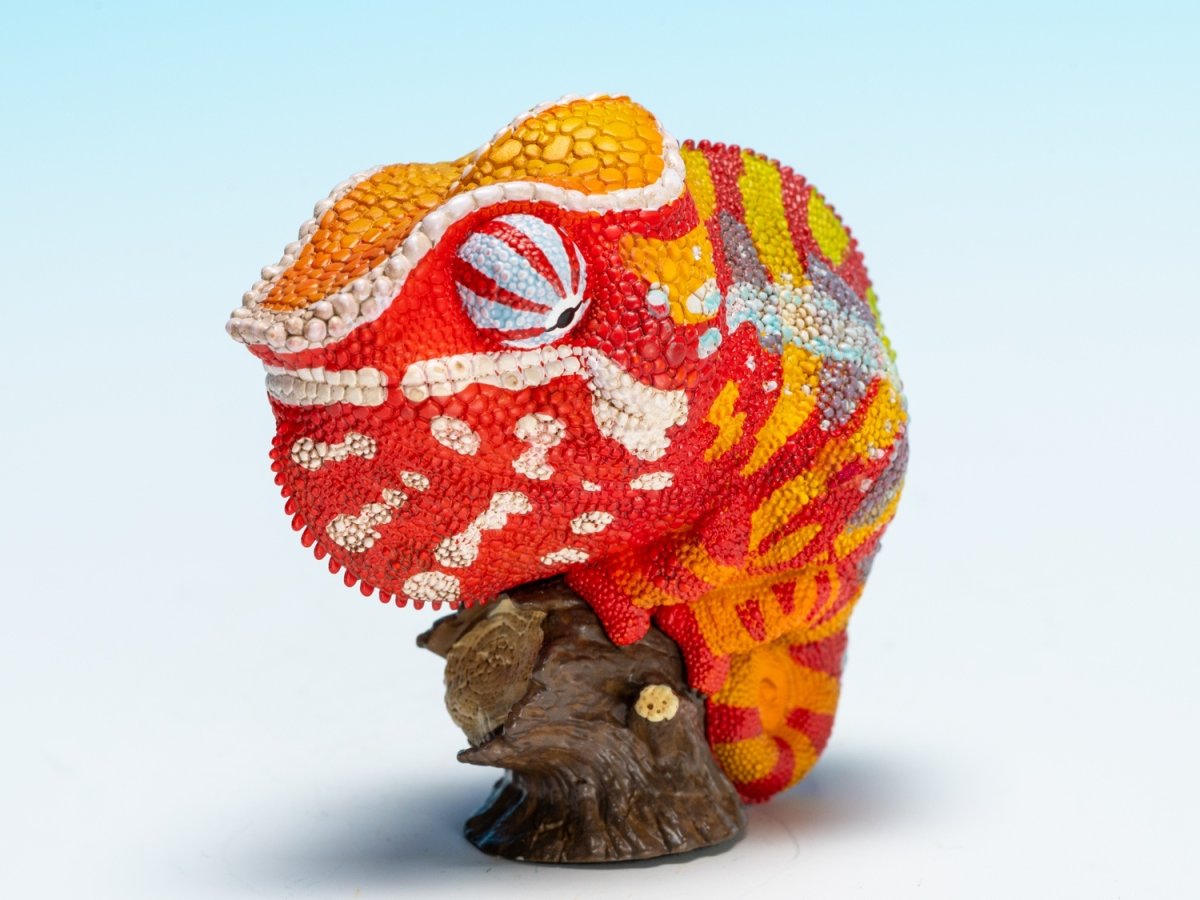 画像6: カメレオン（アンダパ） (6)