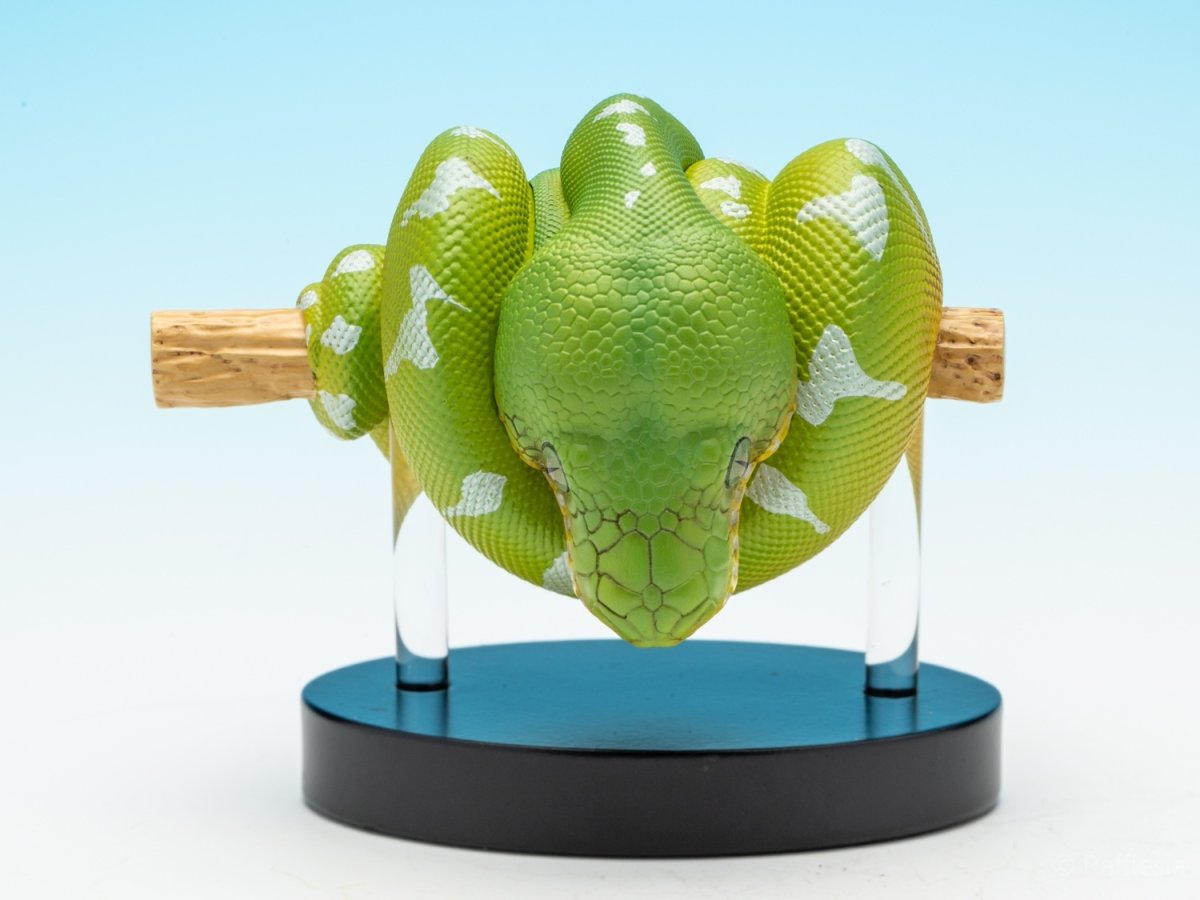 画像2: エメラルドツリーボア (2)