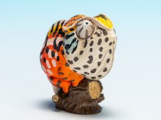 画像1: カーペットカメレオン (1)