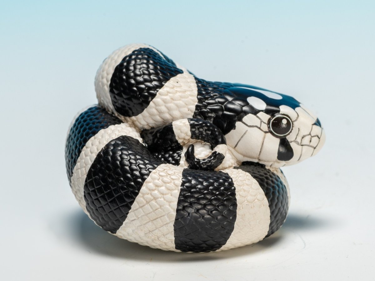 画像2: カリフォルニアキングヘビ（白黒） (2)