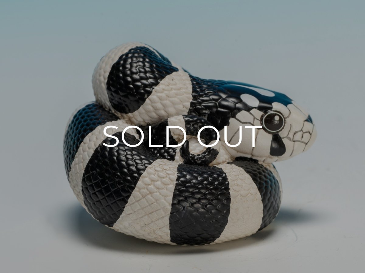 画像2: カリフォルニアキングヘビ（白黒） (2)