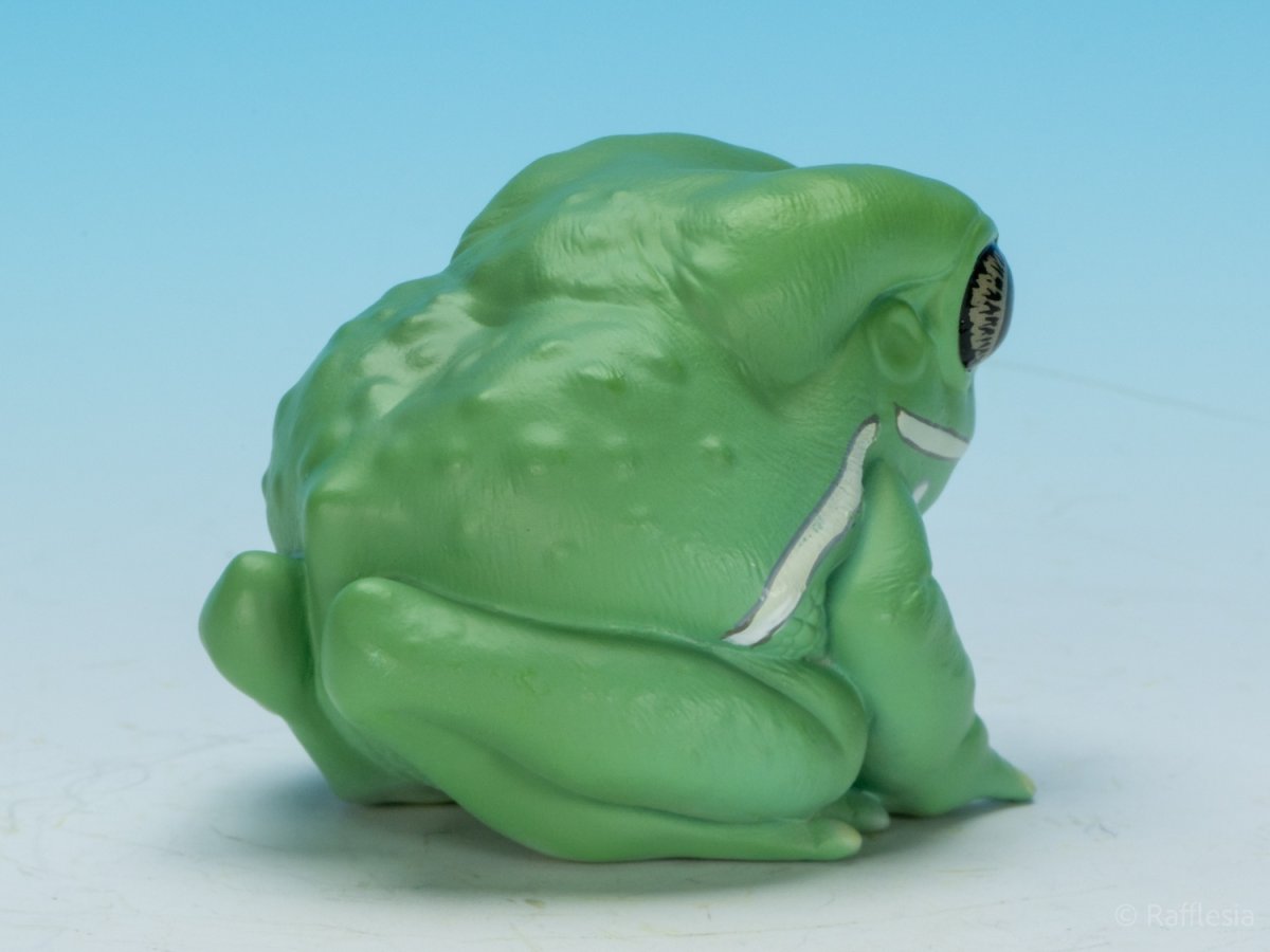 画像3: ソバージュネコメガエル (3)