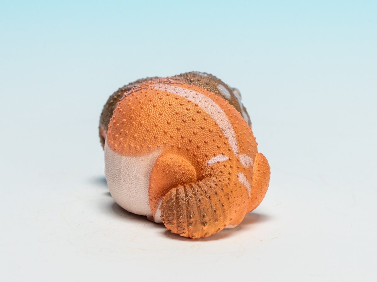 画像3: タマオヤモリ（普通） (3)