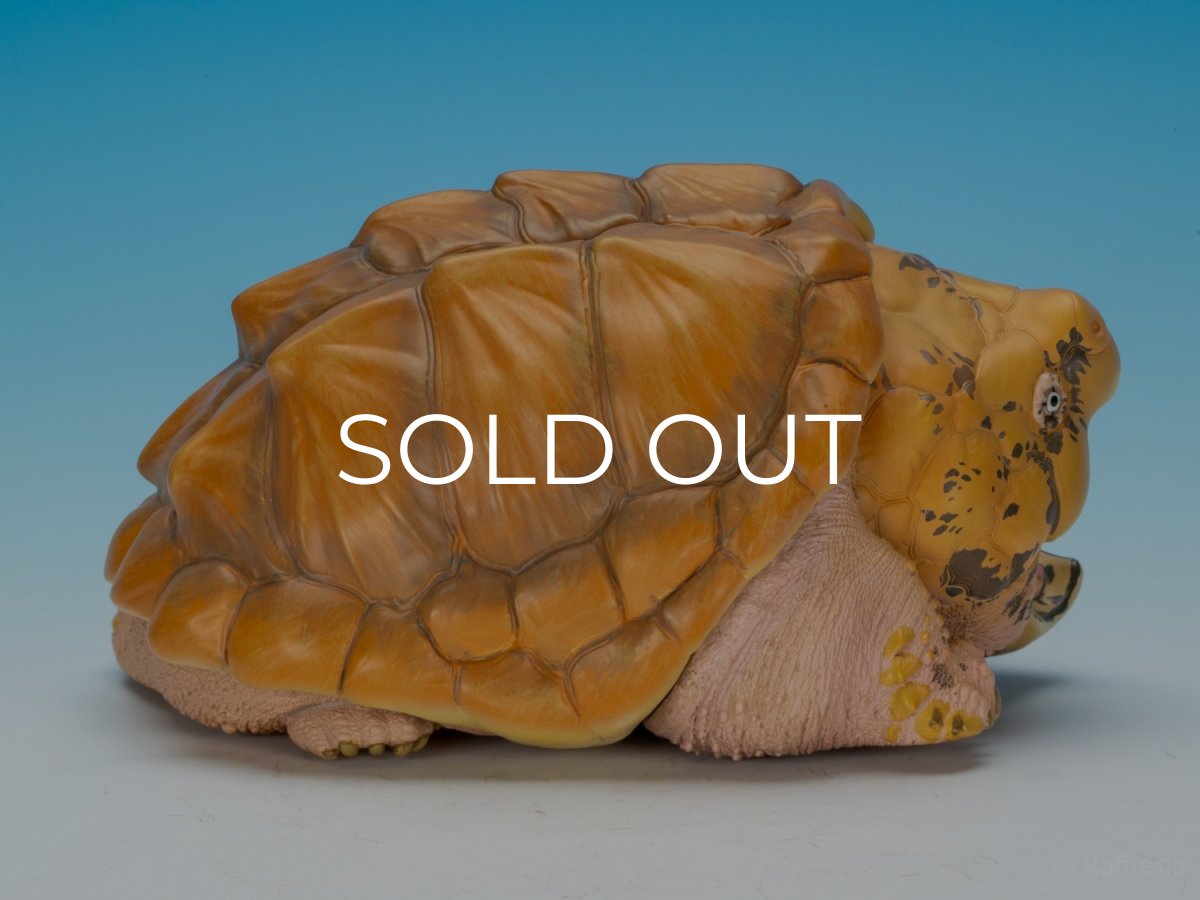 画像2: ワニガメ（PLUS版） (2)