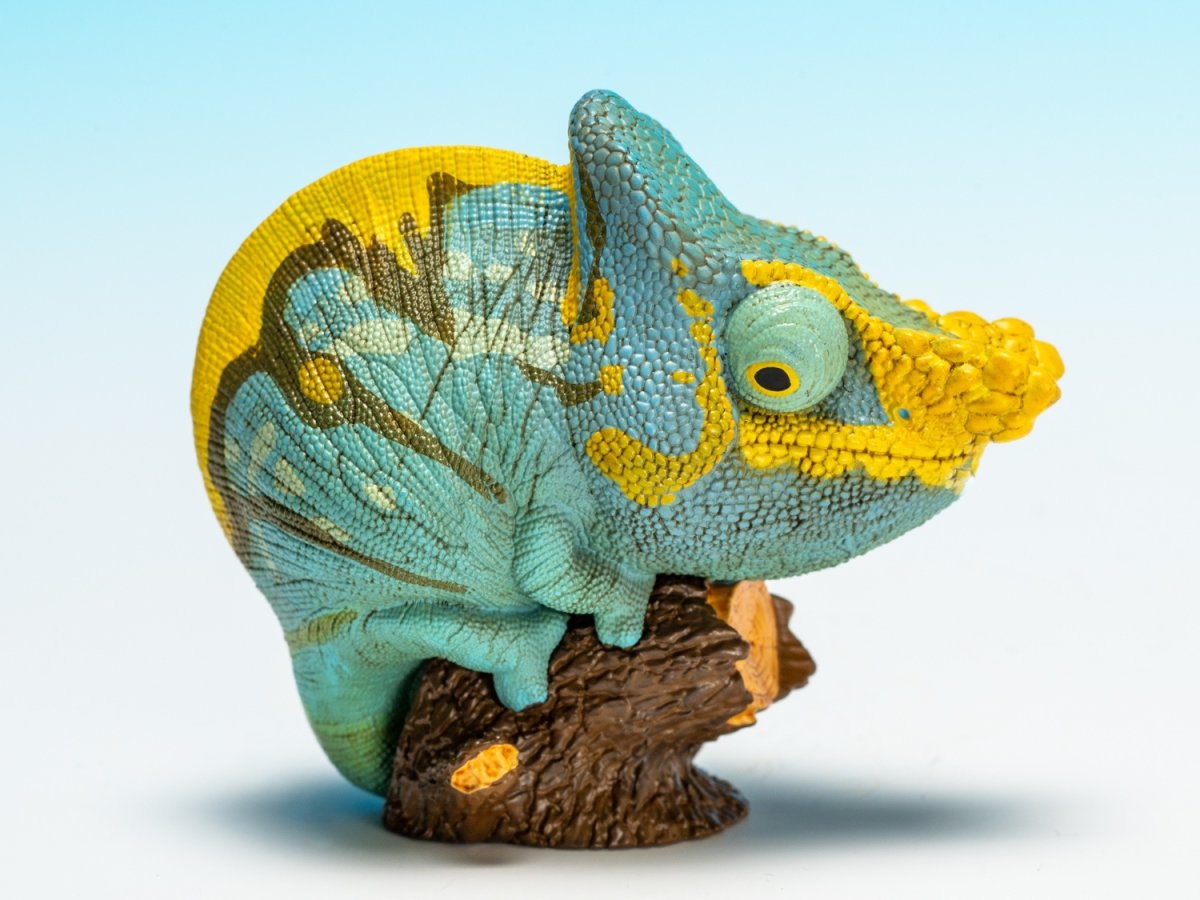 画像2: パーソンカメレオン (2)