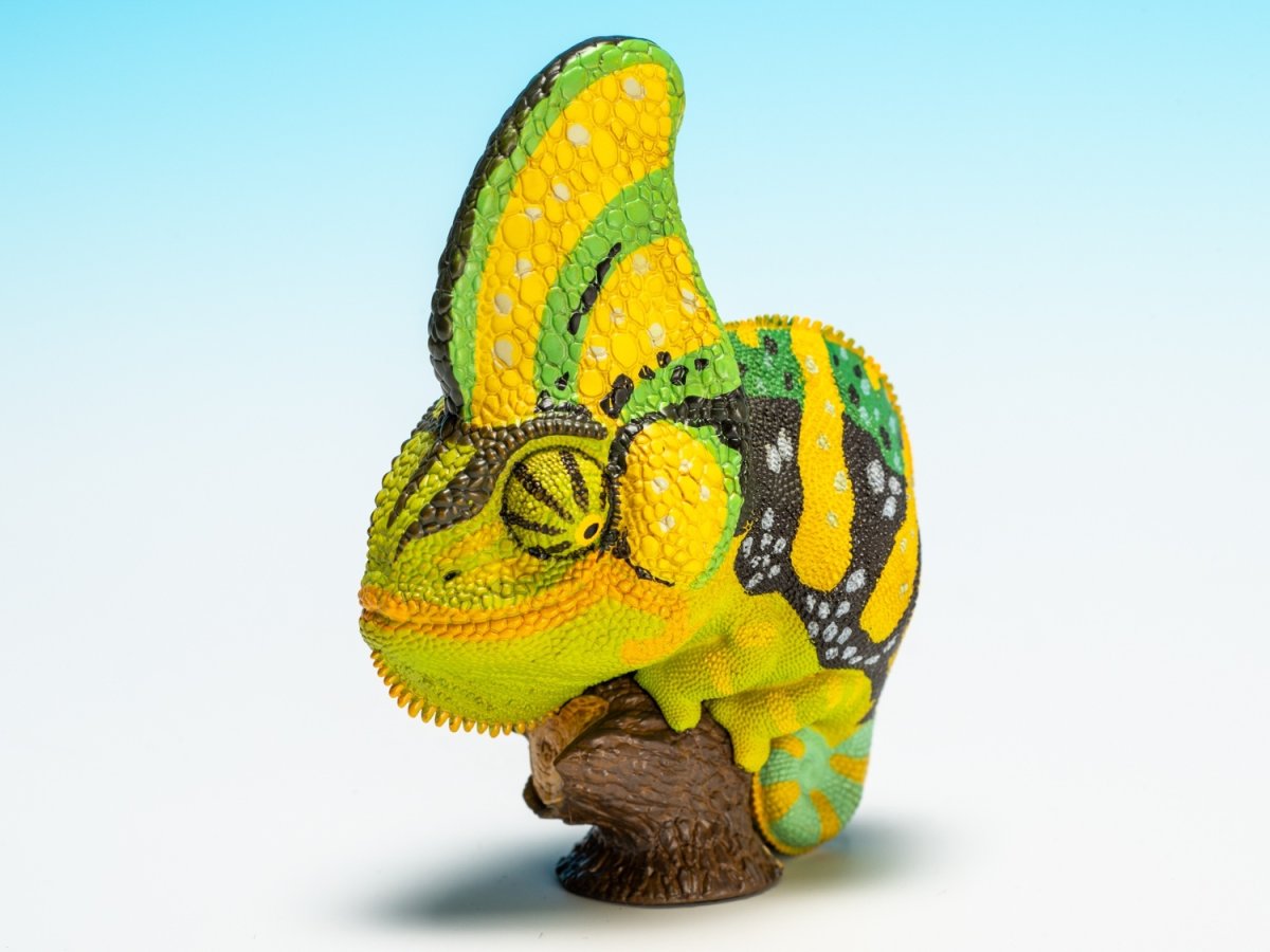 画像6: エボシカメレオン（グリーン）【動画あり】 (6)