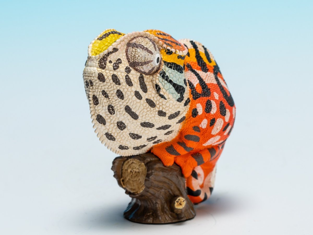 画像7: カーペットカメレオン (7)