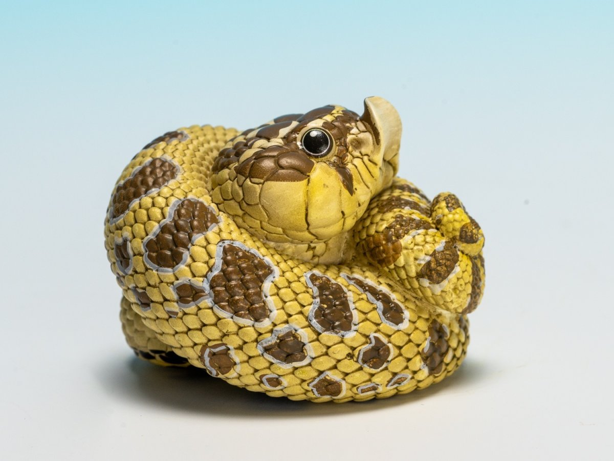 画像2: セイブシシバナヘビ（オリジナル） (2)