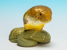 画像1: キングコブラ (1)