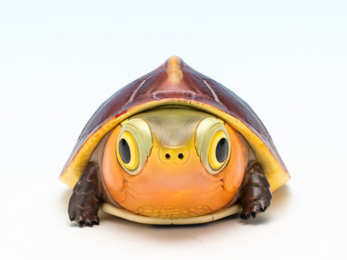 画像3: セマルハコガメ（五周年記念） (3)