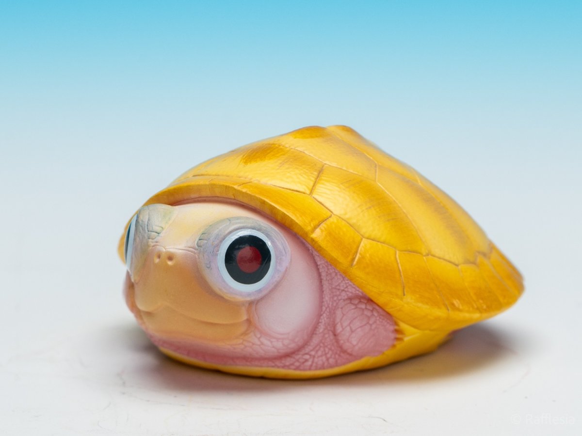 画像3:  キャラメルピンク（五周年記念） (3)