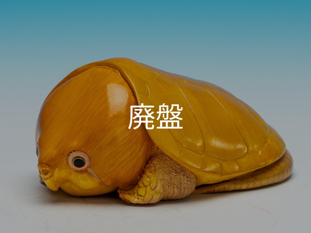 画像5: オオアタマガメ (5)