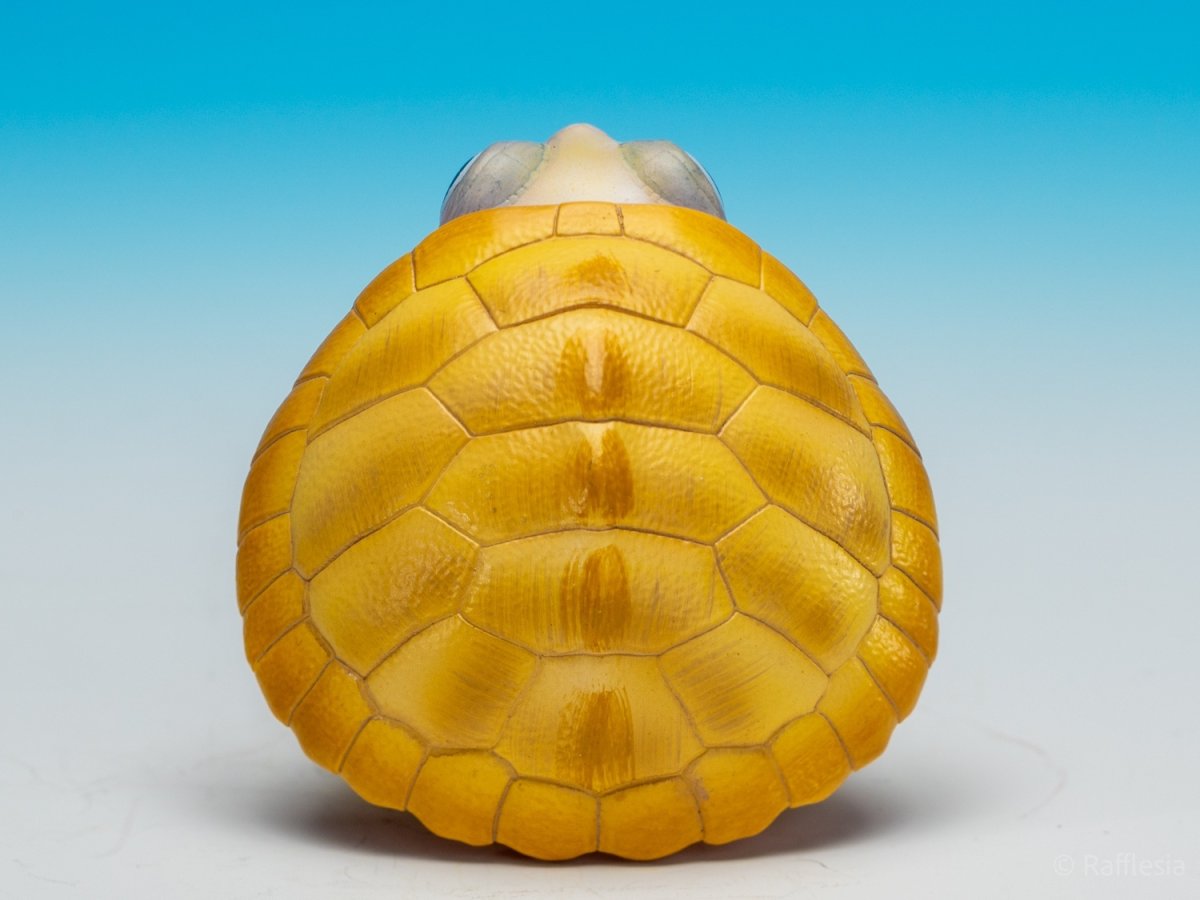 画像10:  キャラメルピンク（五周年記念） (10)