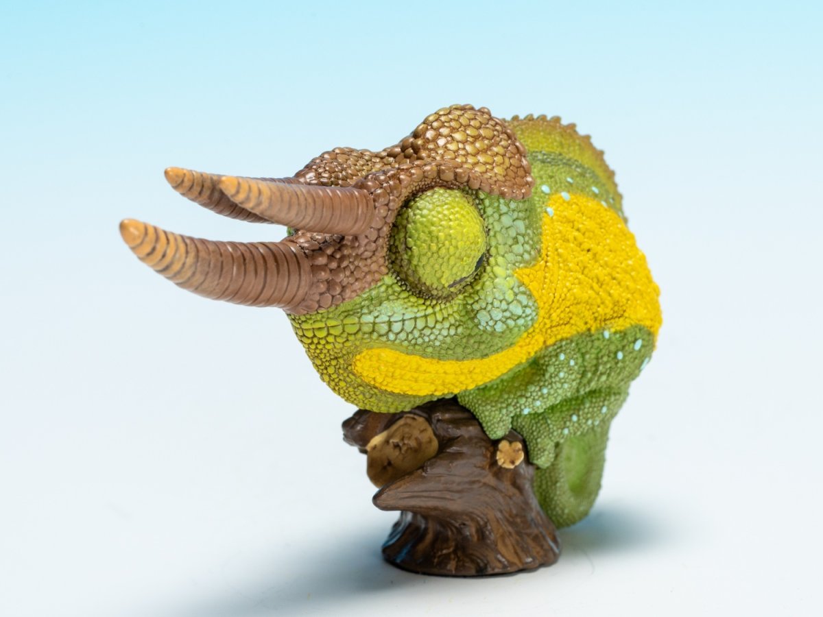 画像9: ジャクソンカメレオン (9)