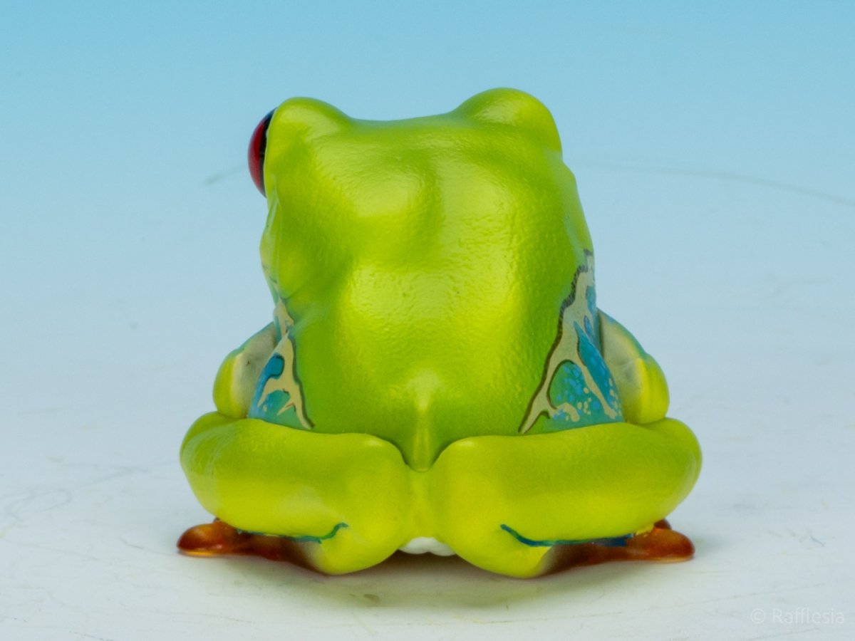 画像5: アカメアマガエル (5)