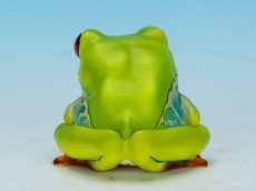 画像5: アカメアマガエル (5)