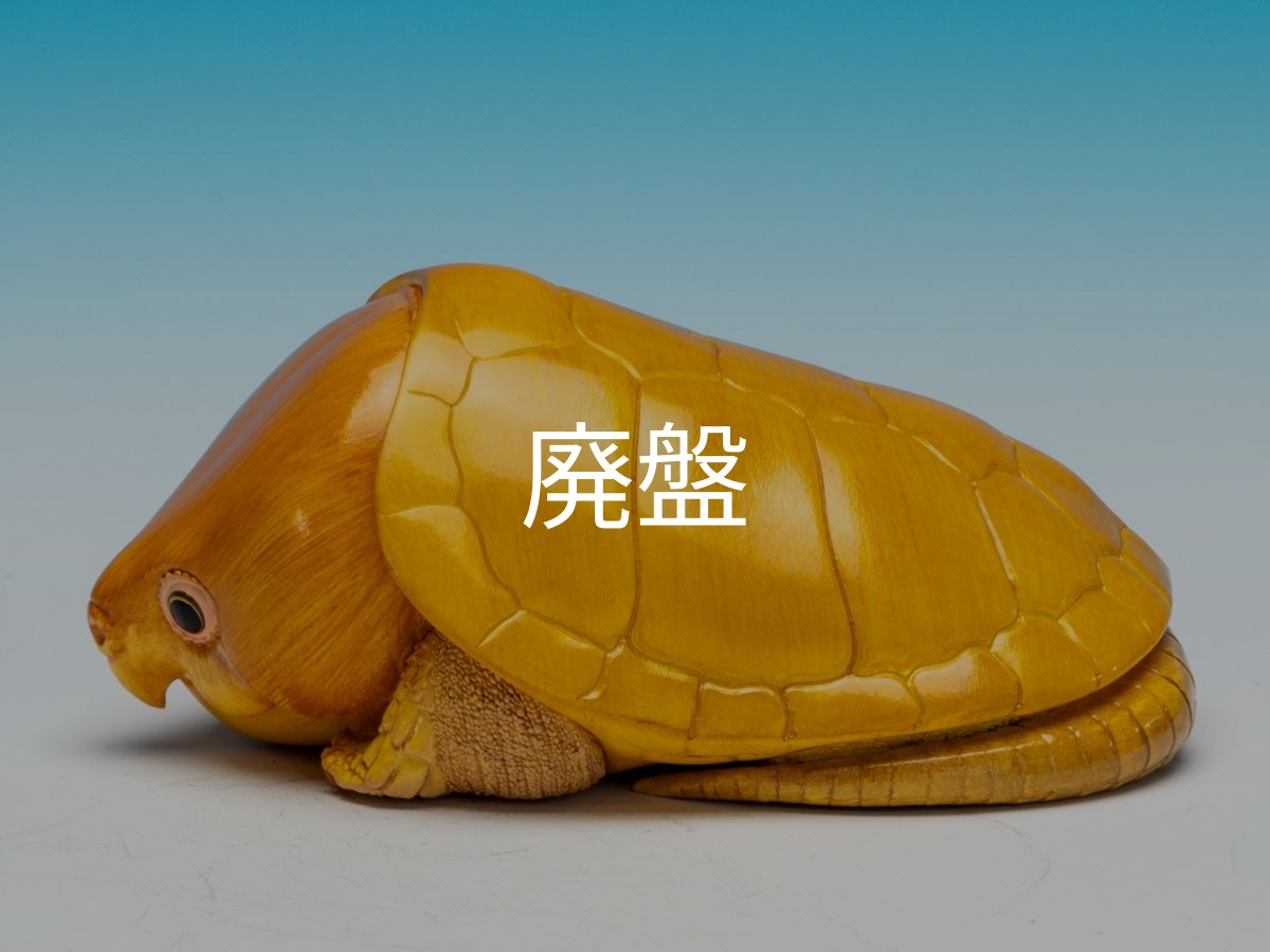 画像6: オオアタマガメ (6)