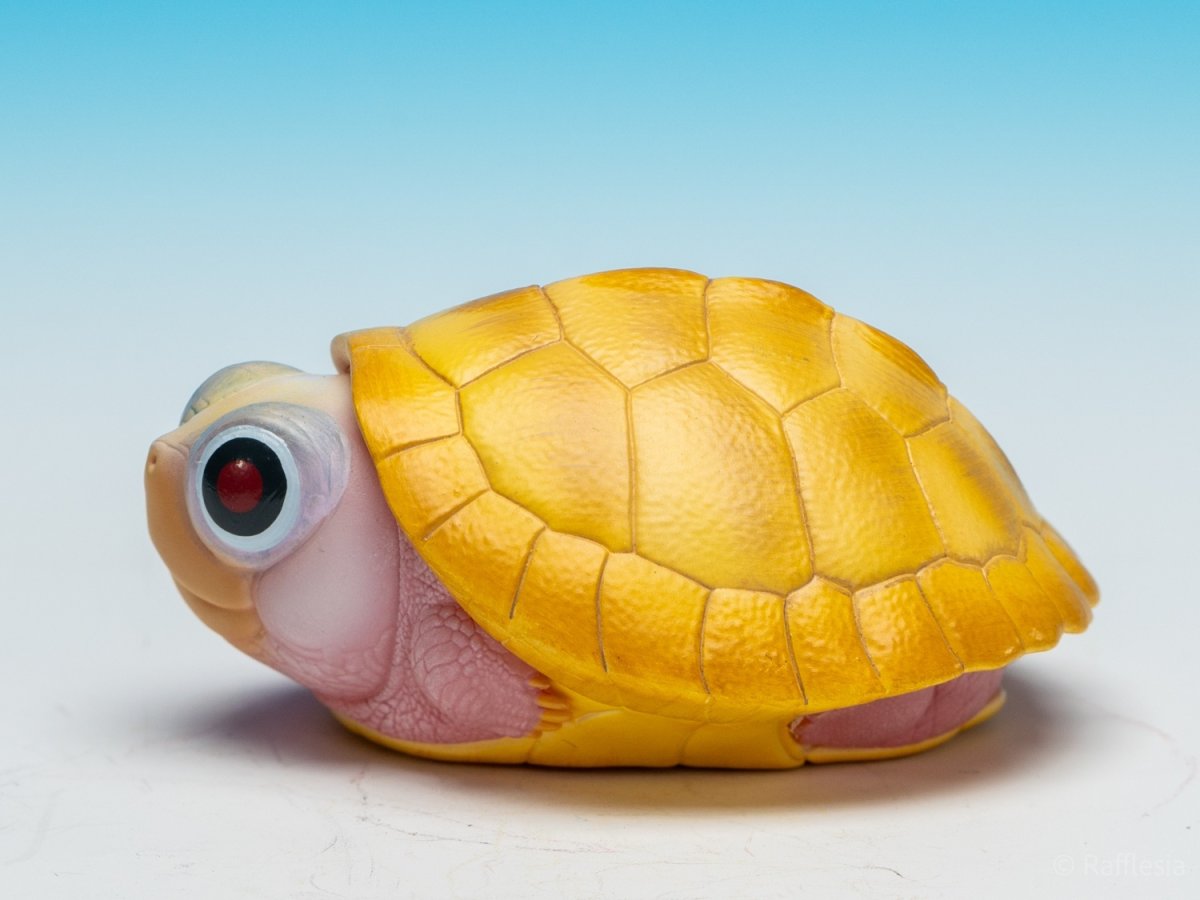 画像5:  キャラメルピンク（五周年記念） (5)