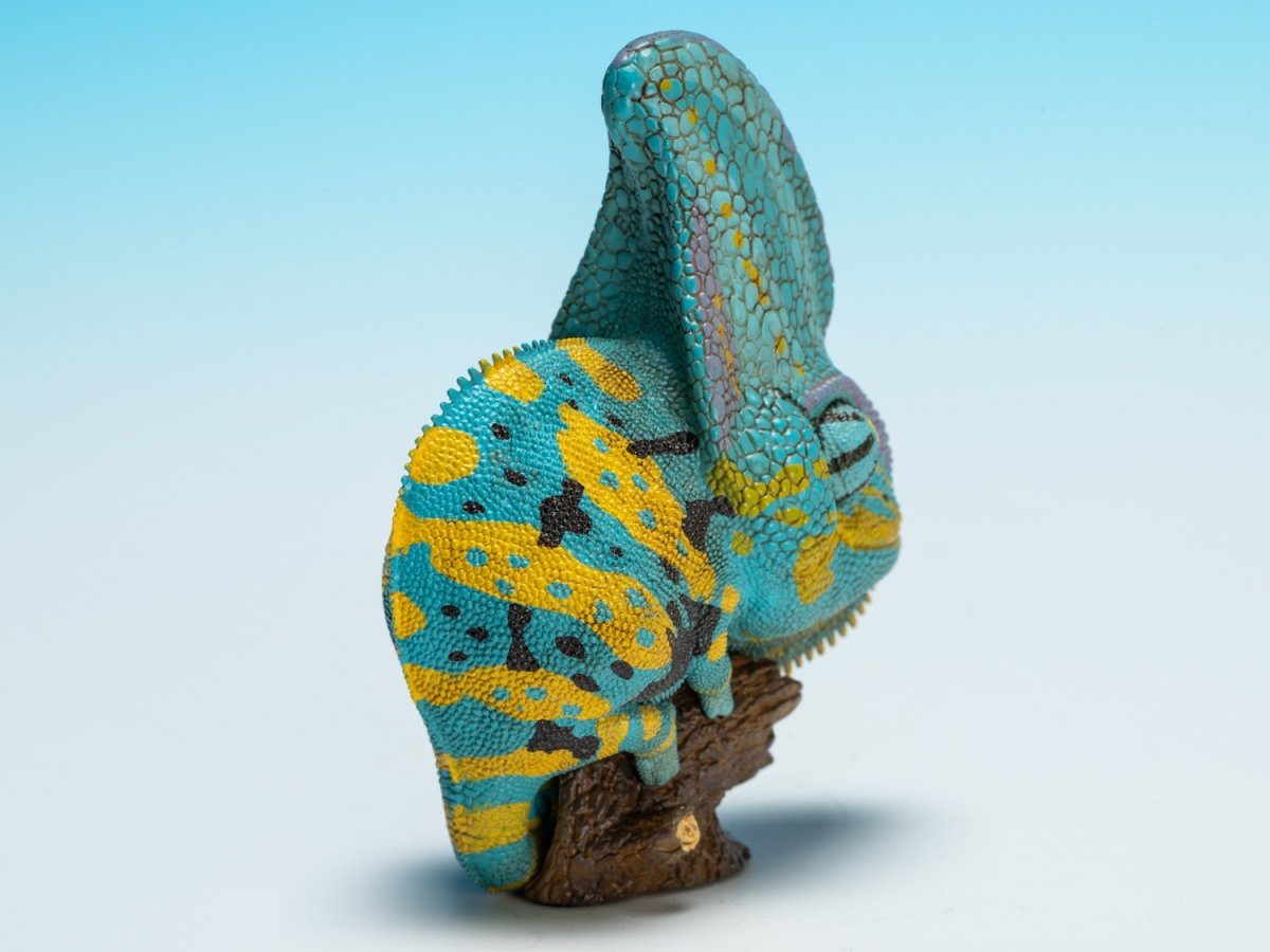 画像4: エボシカメレオン（ブルー）【動画あり】 (4)