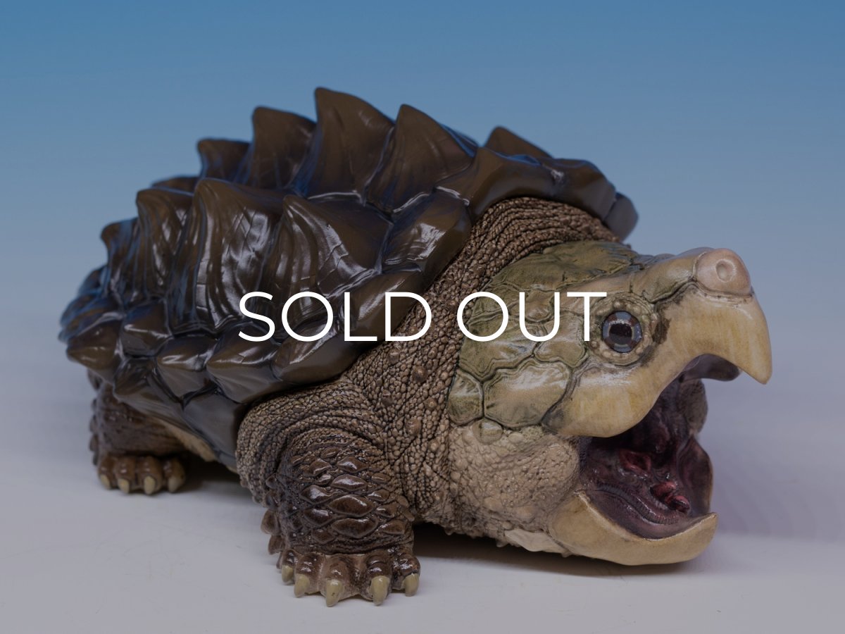 画像2: ワニガメ LET'S爬体！ (2)