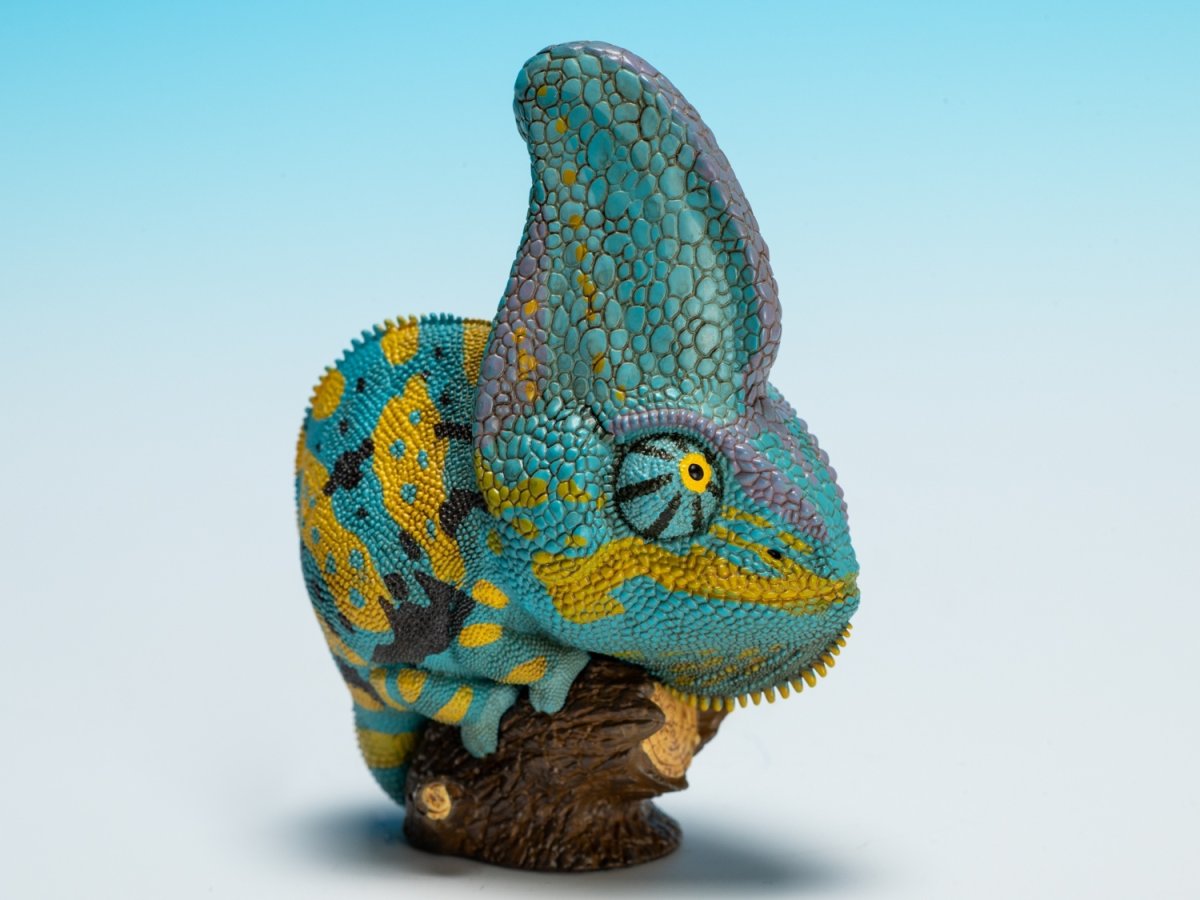 画像2: エボシカメレオン（ブルー）【動画あり】 (2)