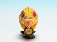 画像7: カメレオン（ミツィウ） (7)