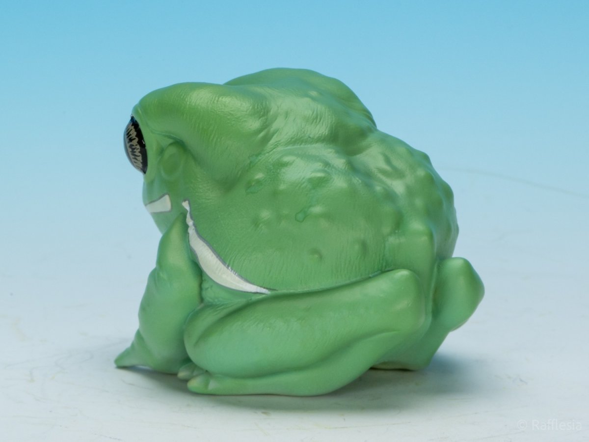 画像5: ソバージュネコメガエル (5)