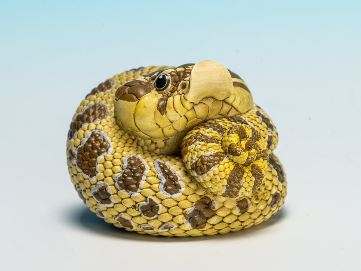 画像9: セイブシシバナヘビ（オリジナル） (9)