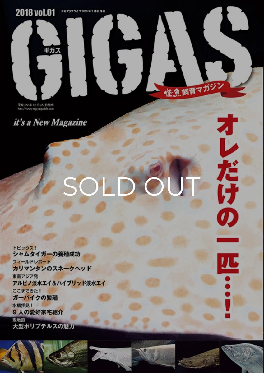 画像1: GIGAS　Vol.１ (1)