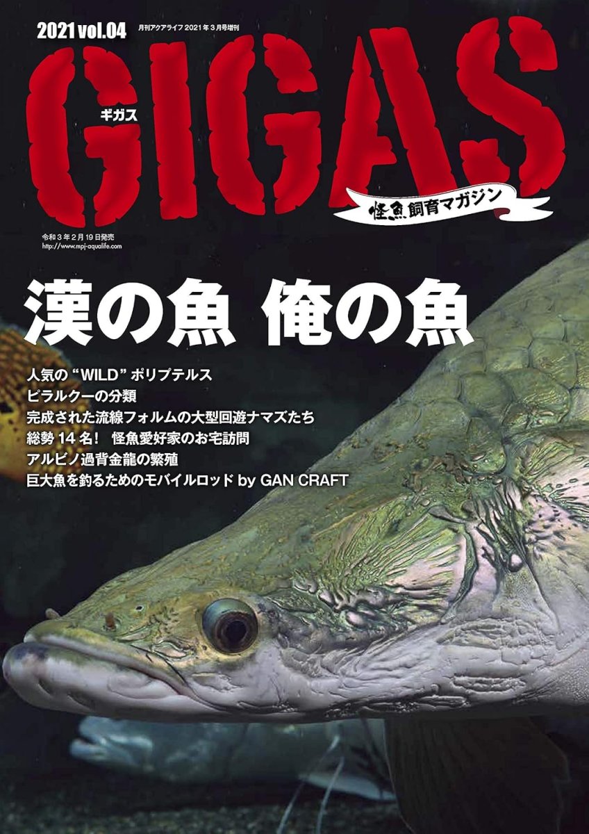 画像1: GIGAS　Vol.４ (1)